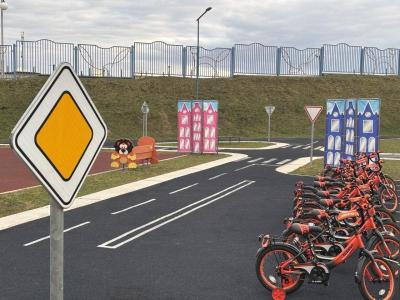 областной практикум