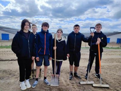 сотрудничество