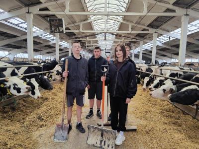 сотрудничество