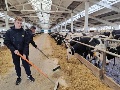 сотрудничество