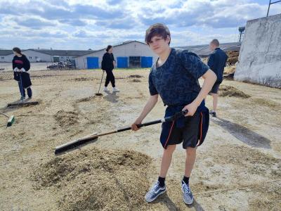 сотрудничество