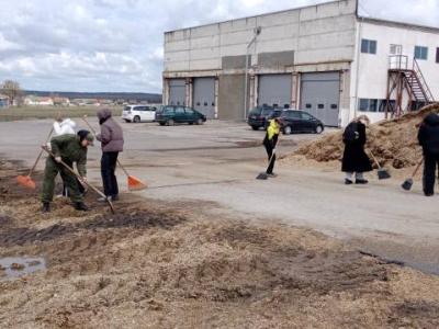 сотрудничество