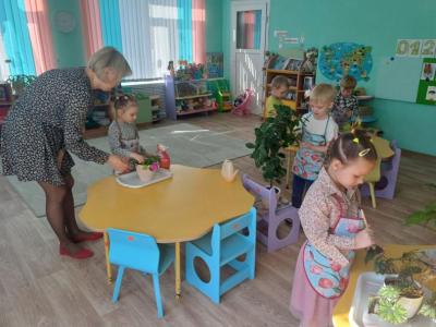ШМП дошкольников